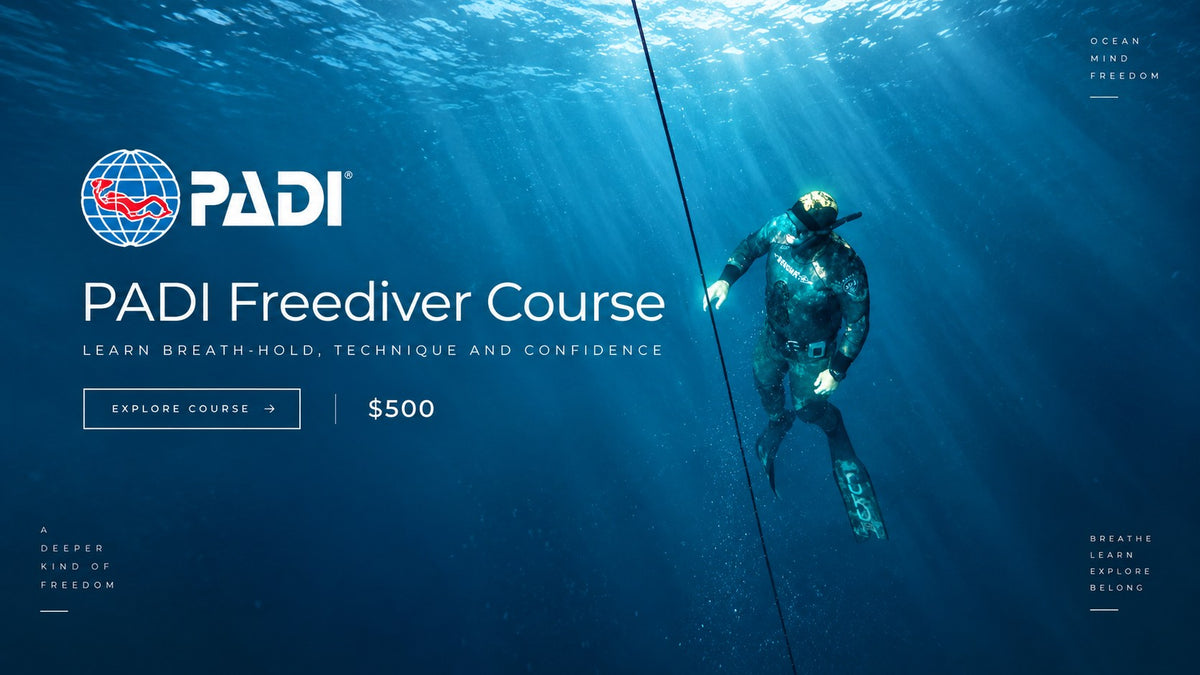 Illustrative Exhale PADI Freediver course campaign, advertised course price NZ$500. Not an official PADI issued graphic.
