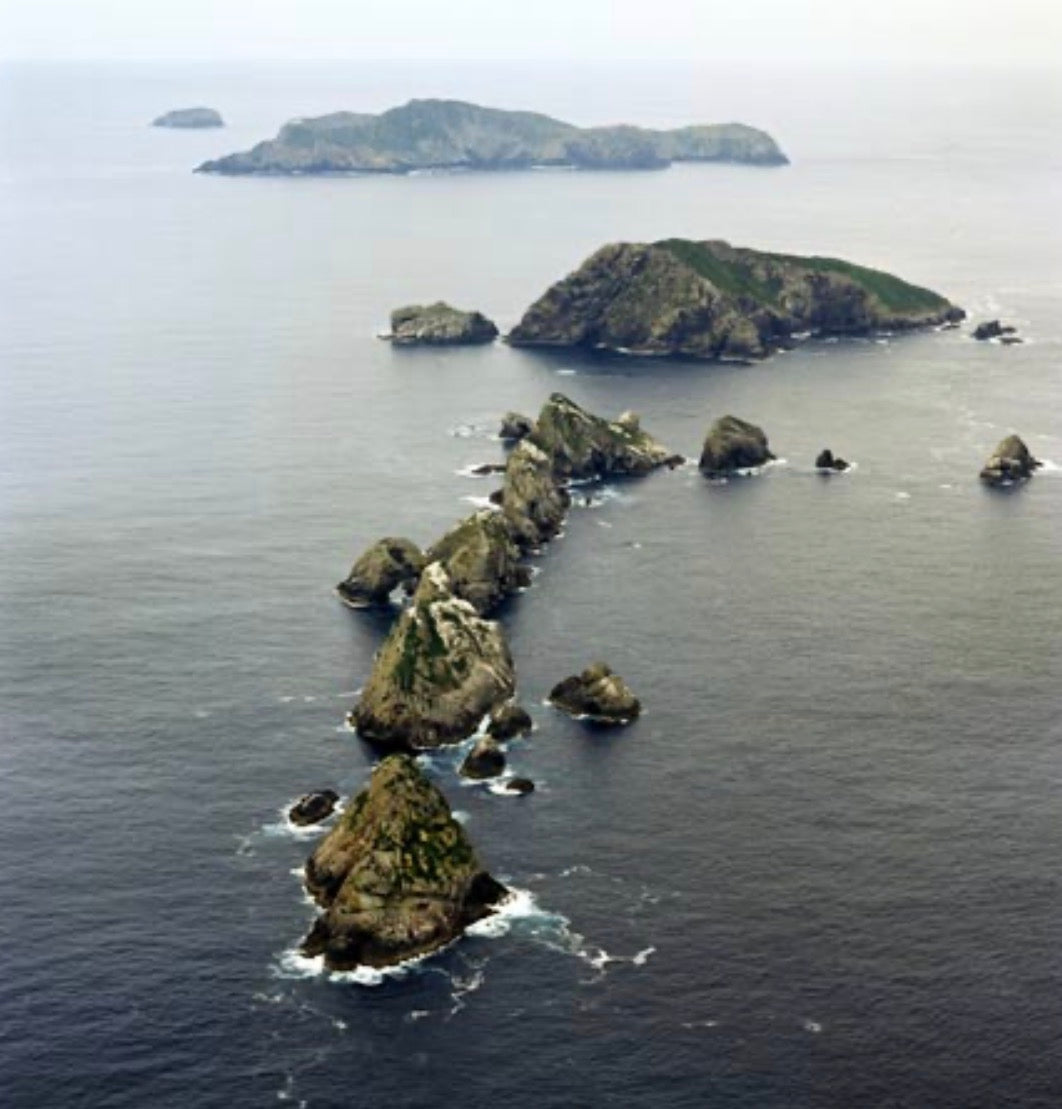 Three Kings Spearfishing