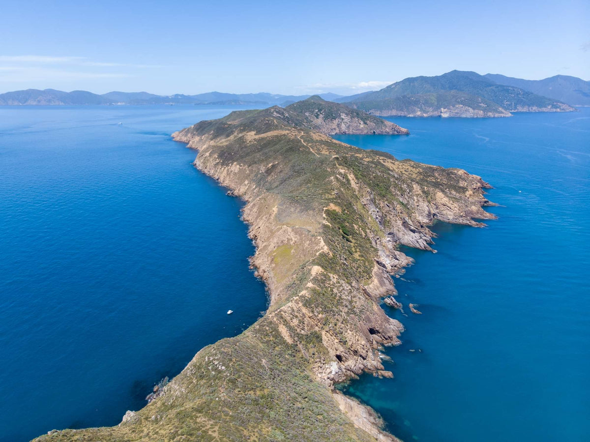 Marlborough Sounds Spearfishing