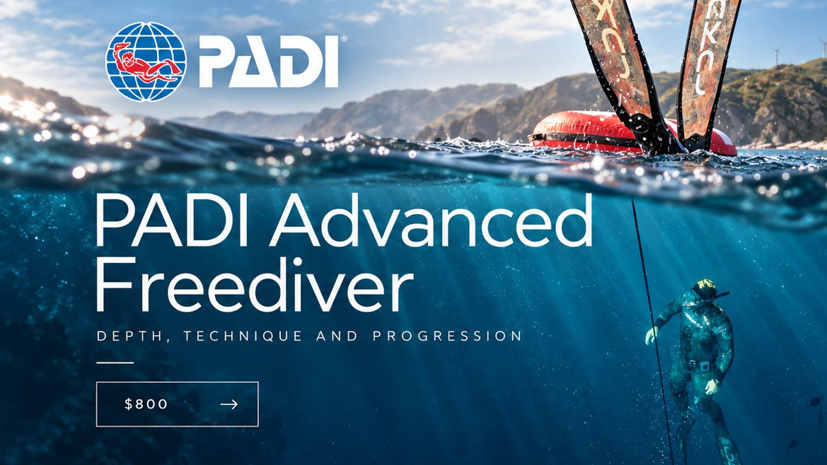 Illustrative Exhale PADI Advanced Freediver campaign, advertised course price NZ$800. Not an official PADI issued graphic.