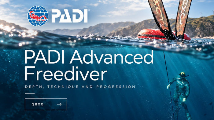 Illustrative Exhale PADI Advanced Freediver campaign, advertised course price NZ$800. Not an official PADI issued graphic.