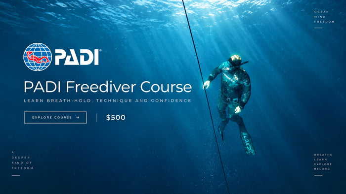 Illustrative Exhale PADI Freediver course campaign, advertised course price NZ$500. Not an official PADI issued graphic.